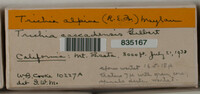 Image Associated With the Occurence